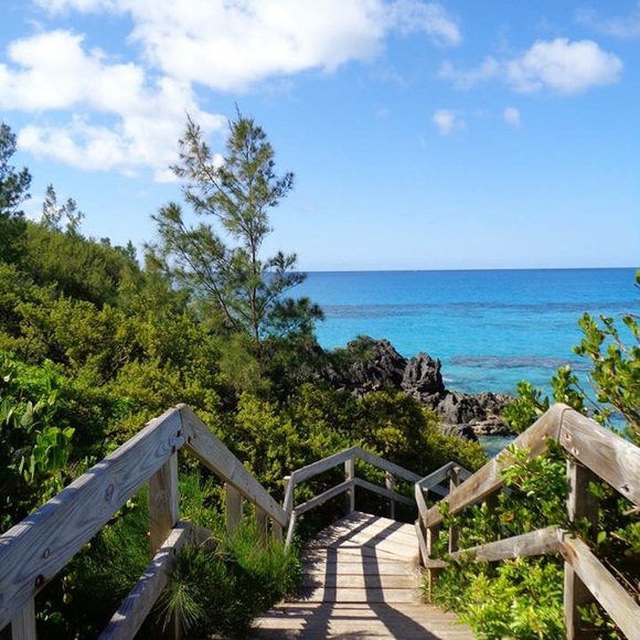 Meet your Posher, Samantha - Picture 4 of 8